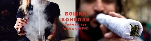 ПСИЛОЦИБИНОВЫЕ ГРИБЫ Тавда