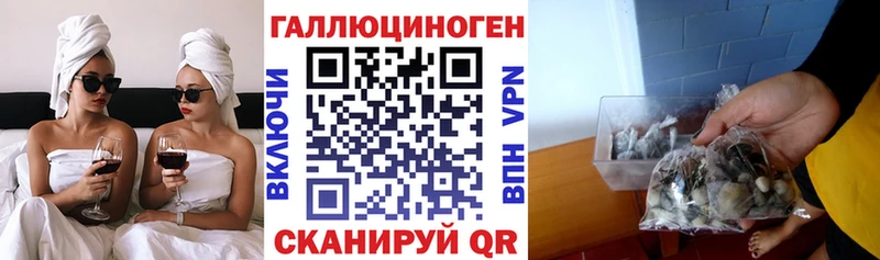 Купить где  Таганрог  Псилоцибиновые грибы ЛСД 